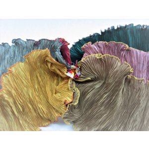 画像7: Bouquet Final